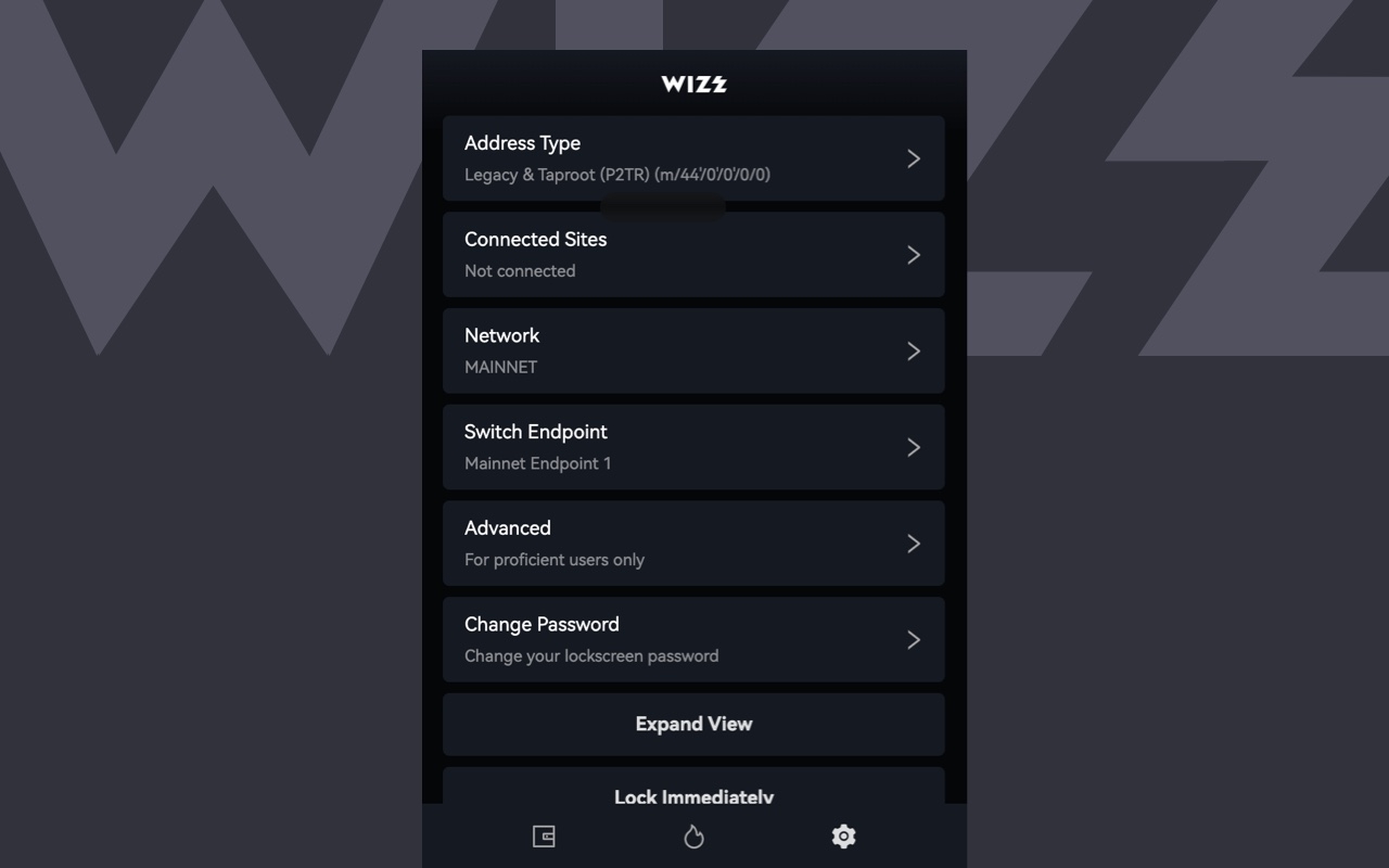 Wizz Wallet截图1