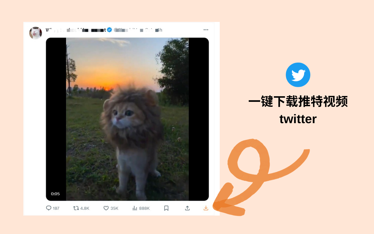 Twitter 视频下载器 -x video downloader - VidSaver.io截图1