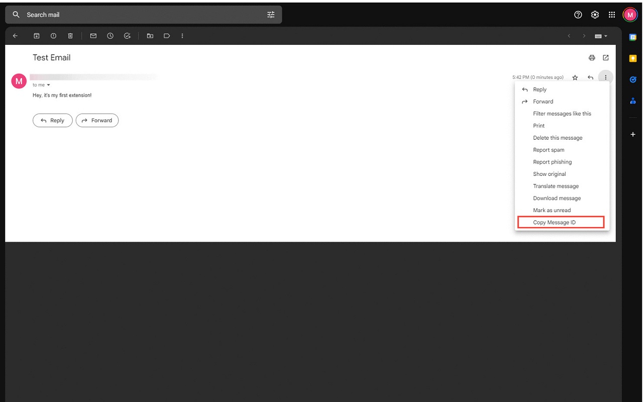 Copy Gmail Message-Id截图1