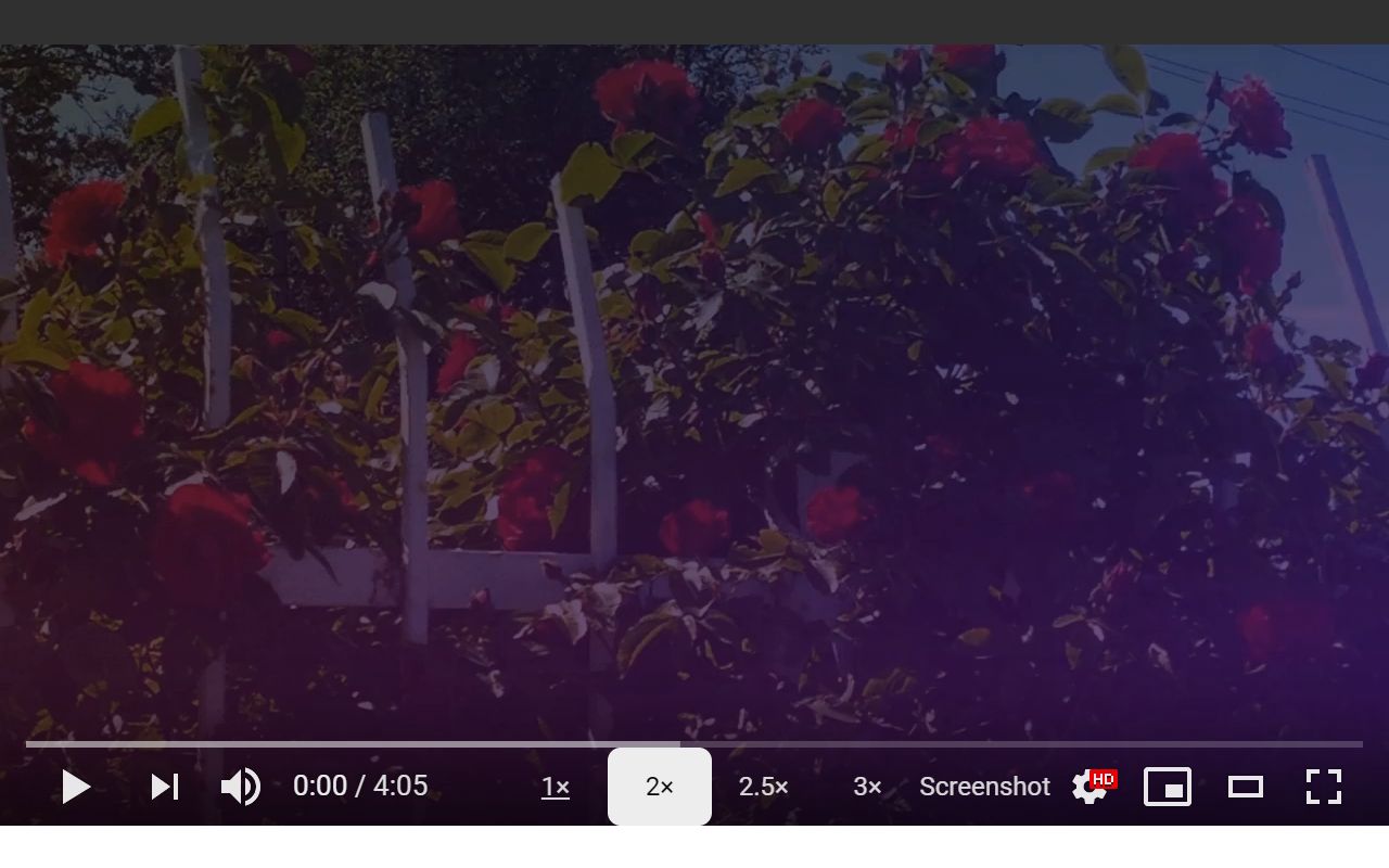 Screenshot YouTube截图2