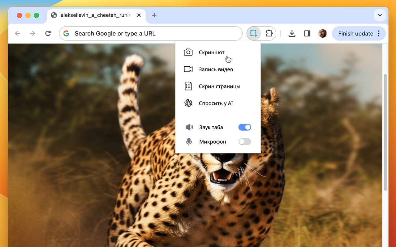 Скриншотер, Запись Экрана, ChatGPT截图2