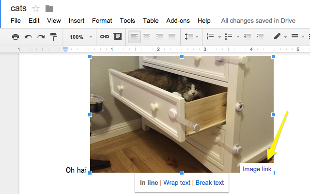 Google Docs Show Image Source截图1