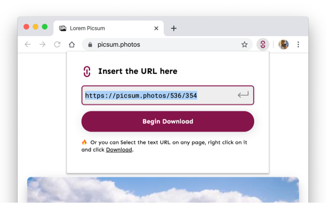Text URL Downloader截图2
