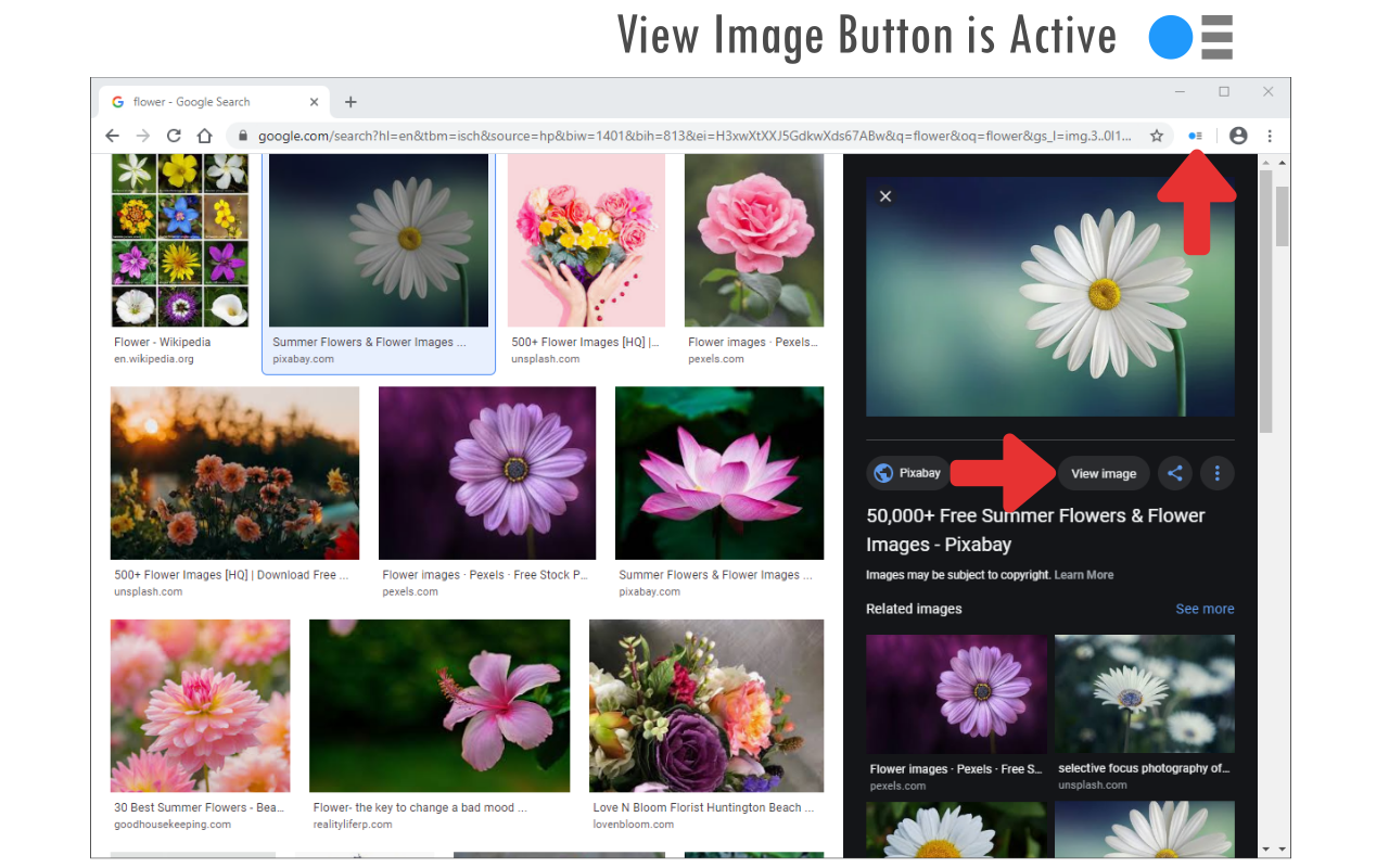 View Image Button截图1