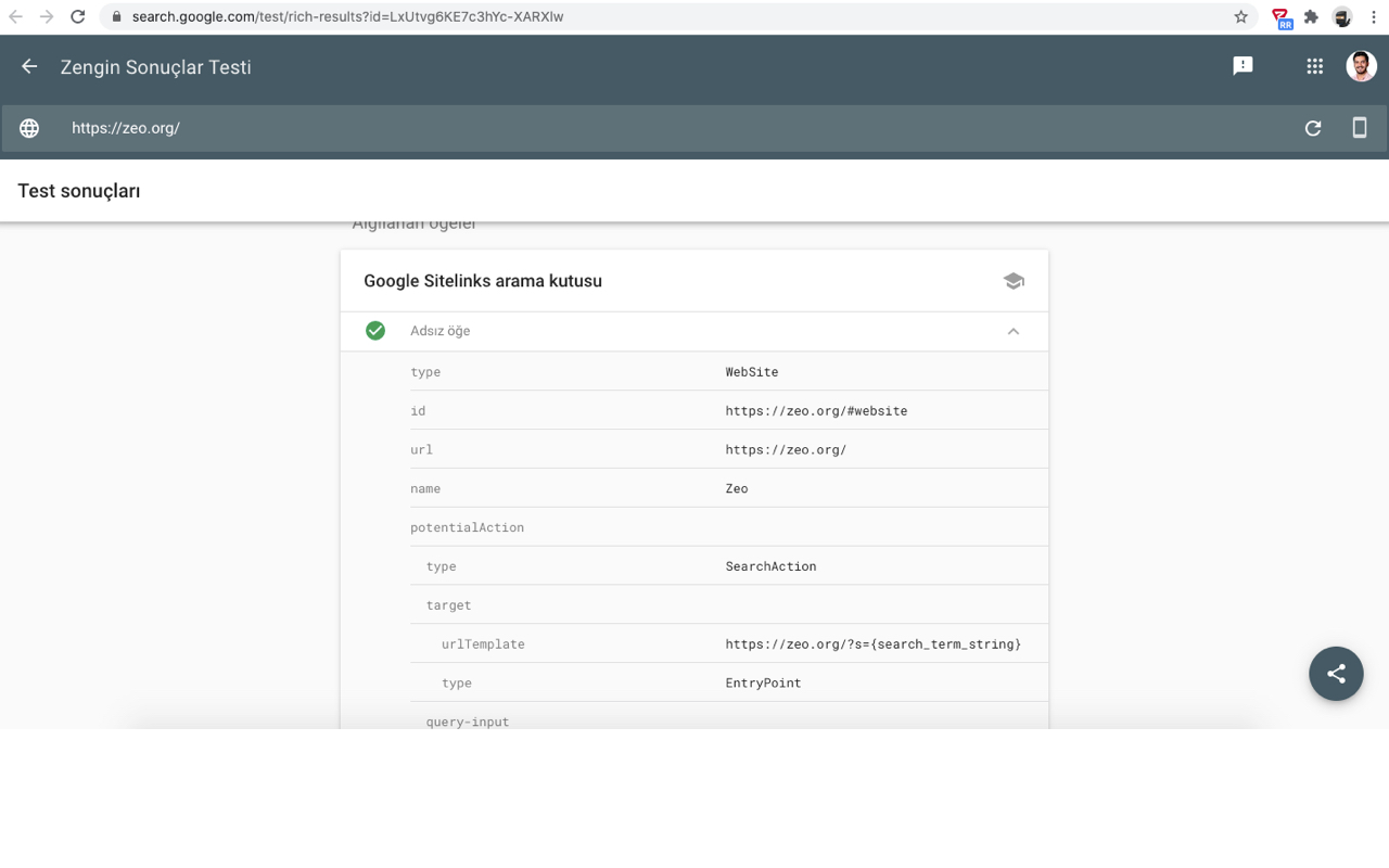 Rich Results - Structured Data Test Plugin截图1