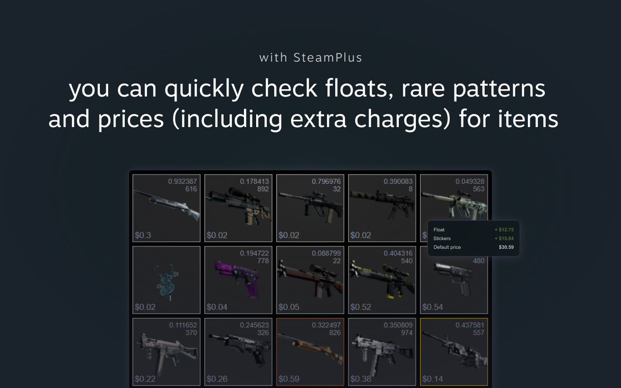 Steam Plus截图3
