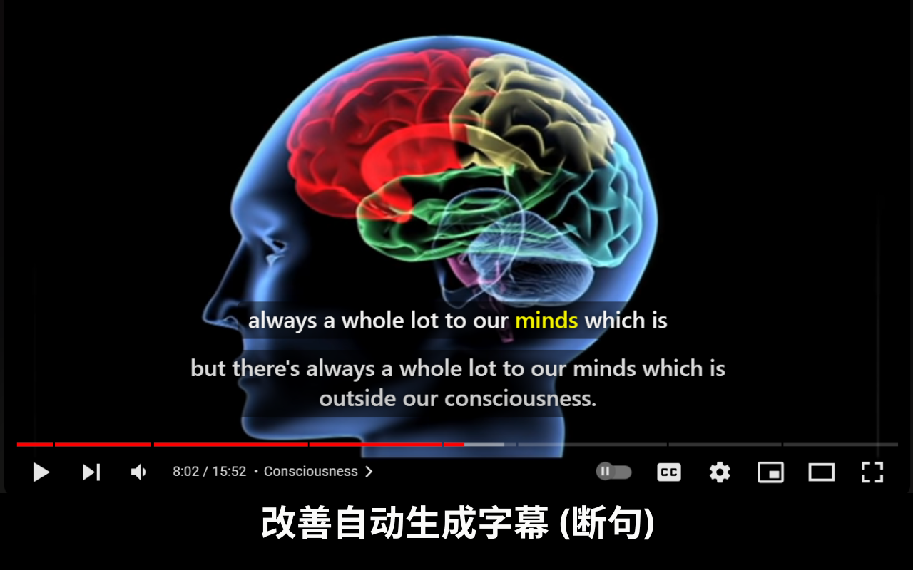 Youtube 双语字幕截图4