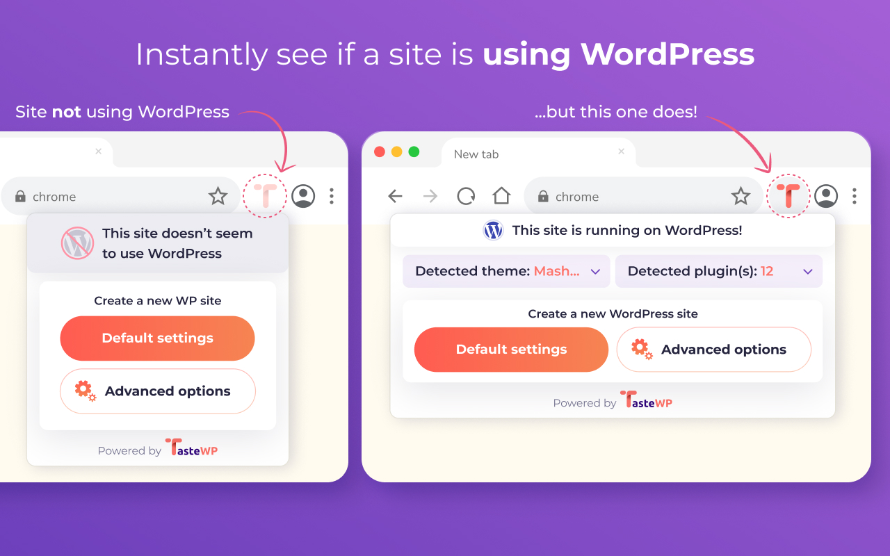 TasteWP: Free WordPress Instances截图4