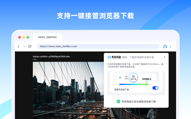 夸克网盘-网页嗅探截图3