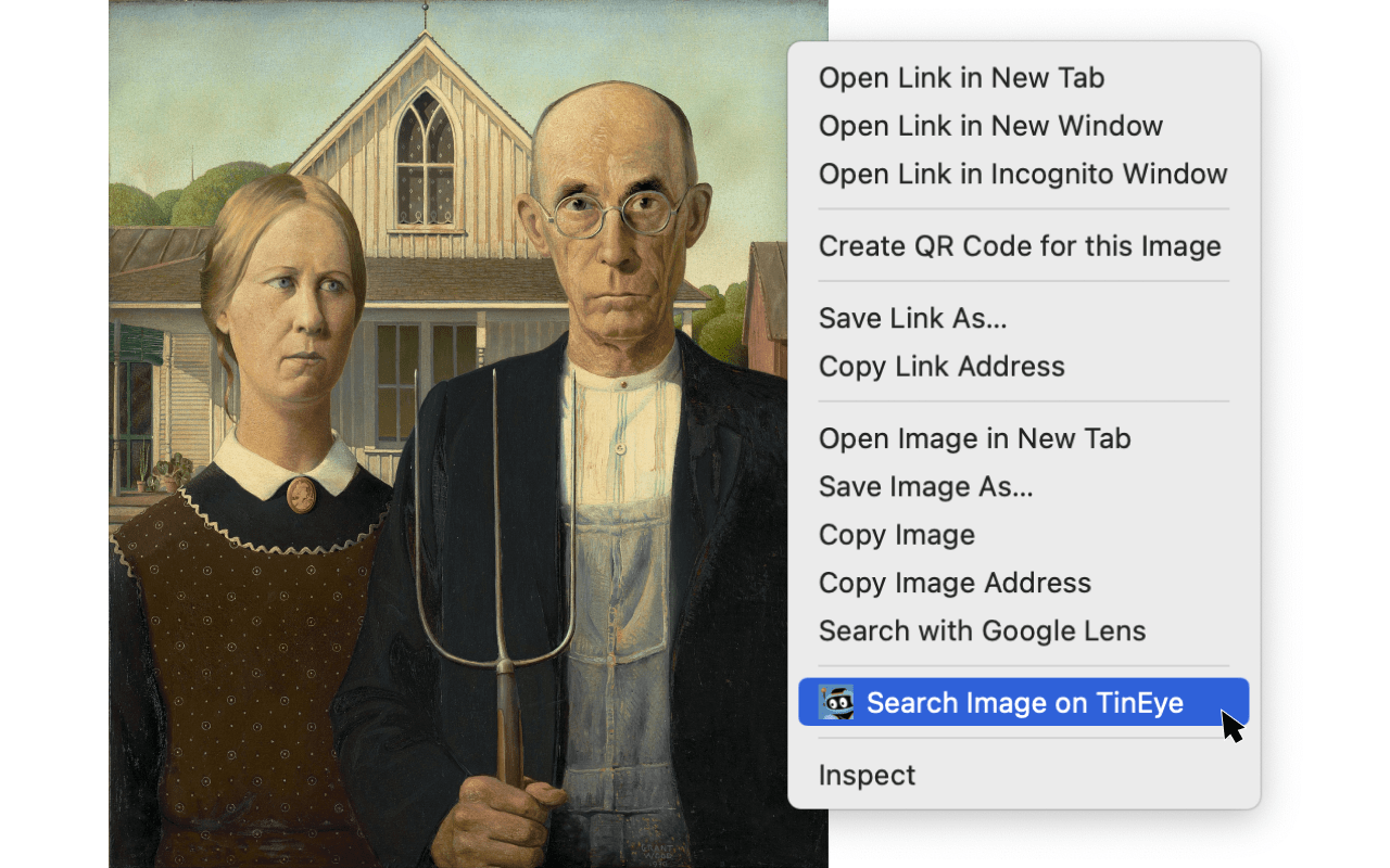 TinEye Reverse Image Search截图3