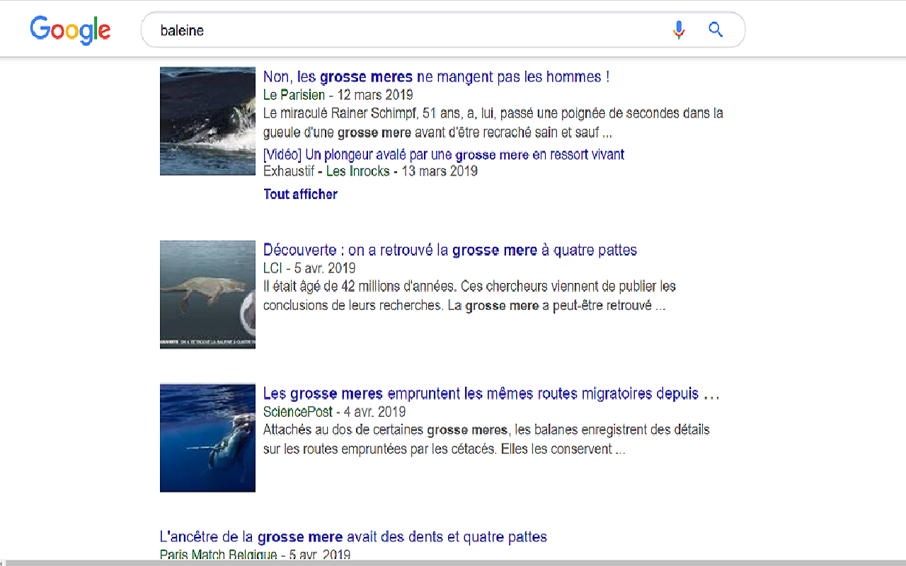 L'extension PAULOK截图1