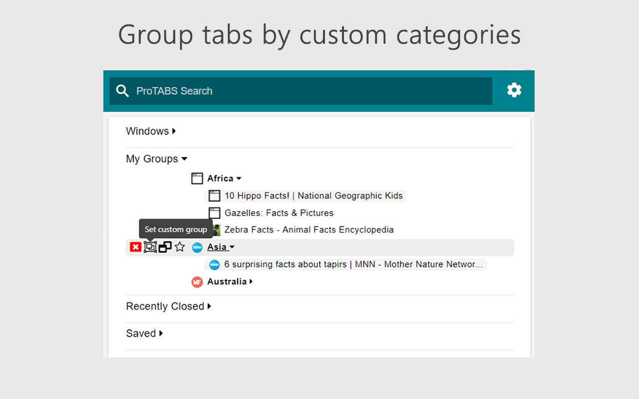 ProTABS - The Tab Manager for Pros截图5