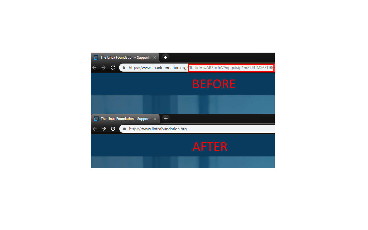 Remove fbclid截图1