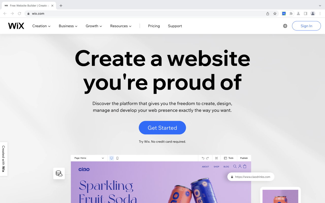 Wix Site Checker截图1