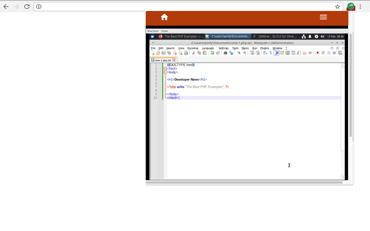 Notepad++在线截图3