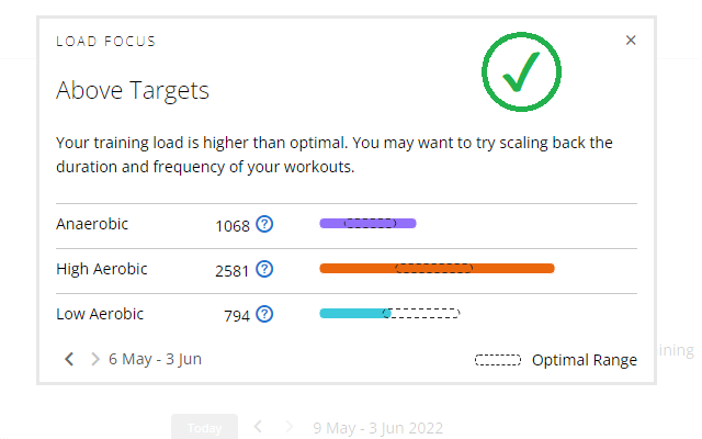 Garmin Connect Web Missing LoadFocus Fixer截图1