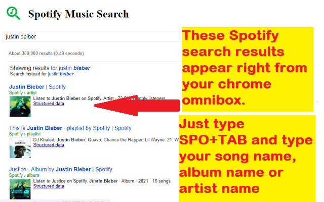 Spotify Web Player Search截图1