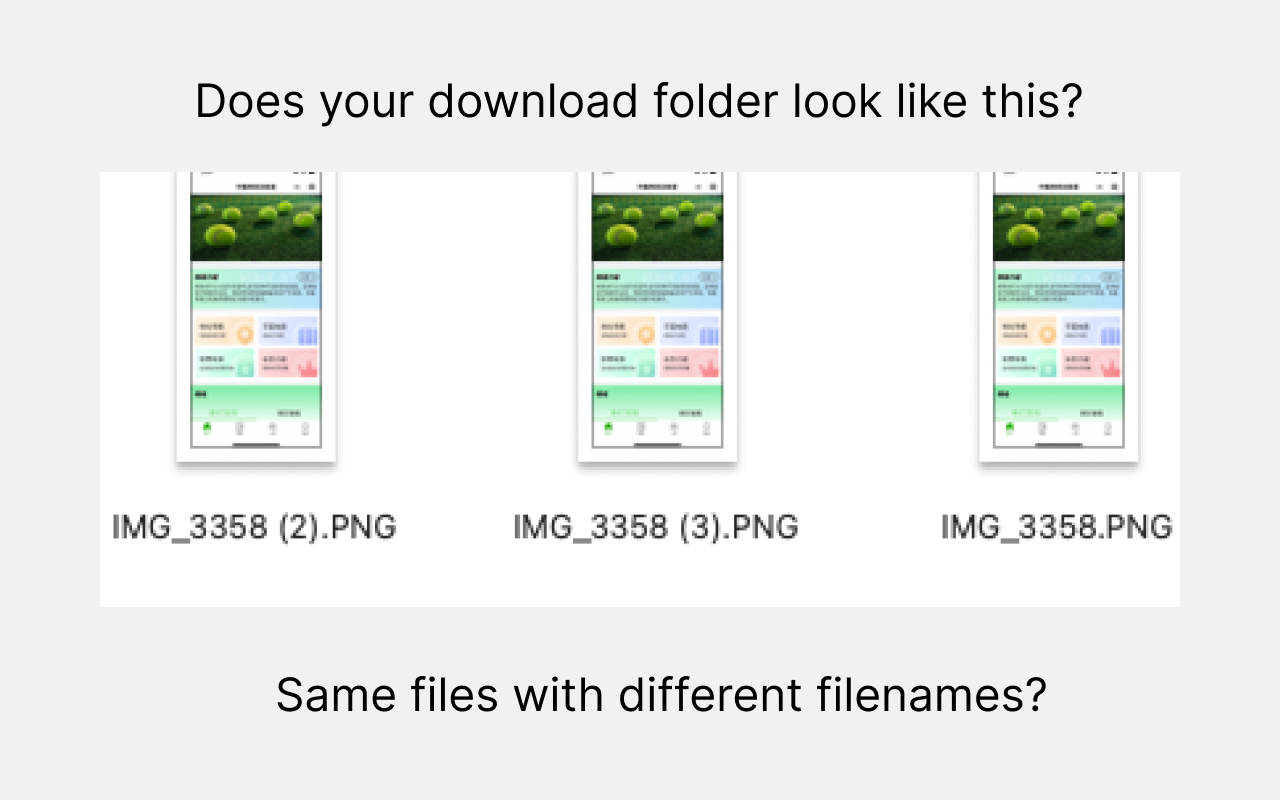 Avoid Duplicate Downloads截图1