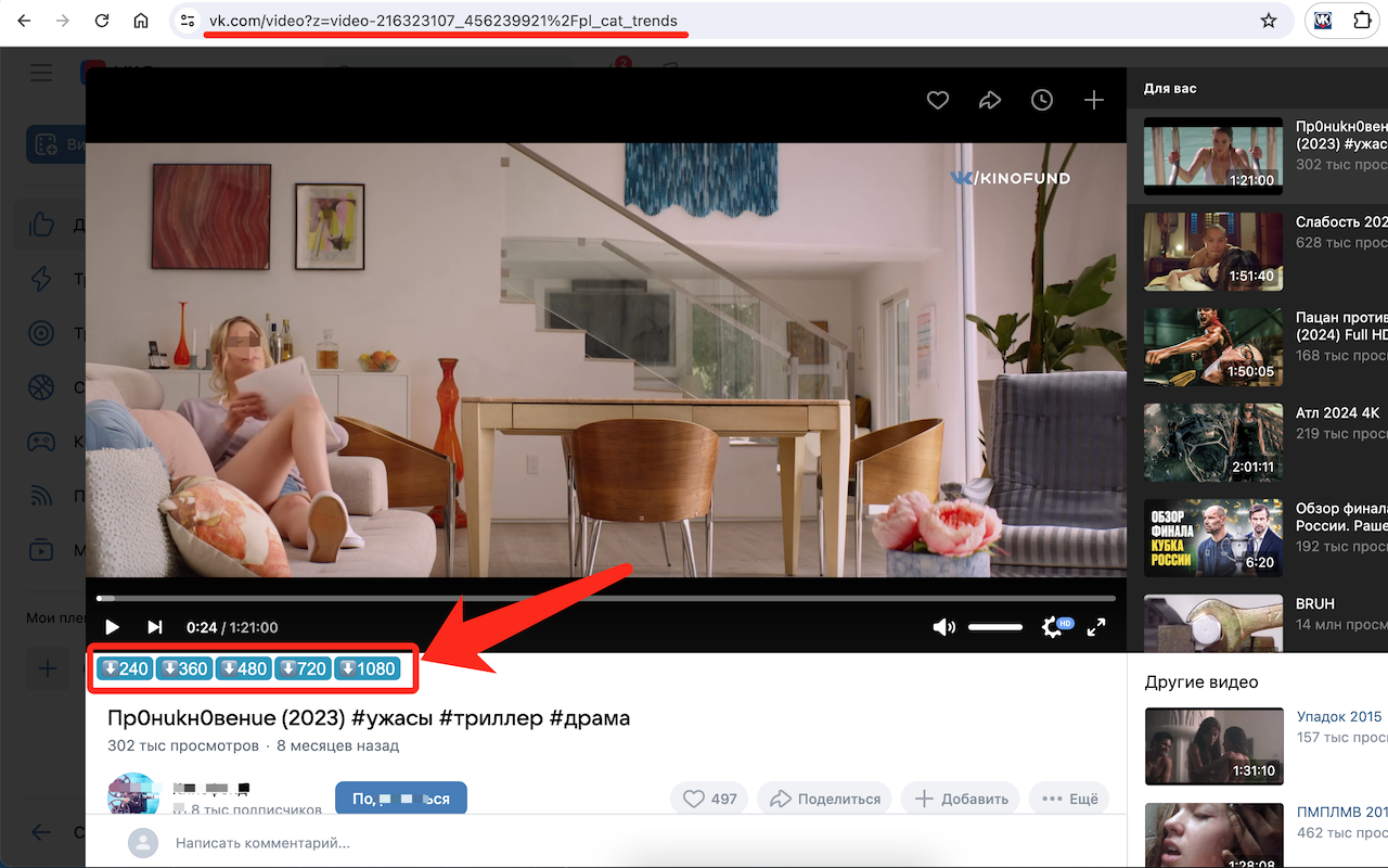 вконтакте видео скачать - VK video downloader截图2