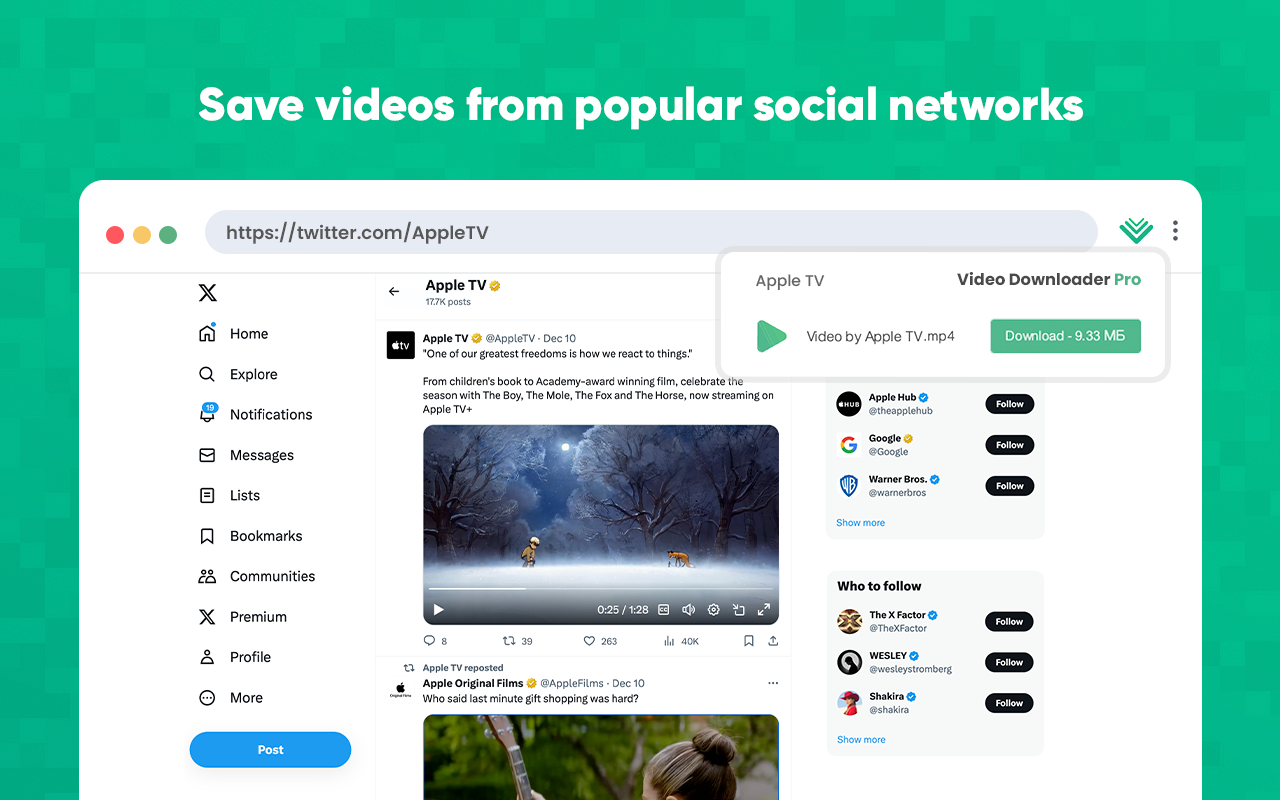 Video Downloader Pro截图1