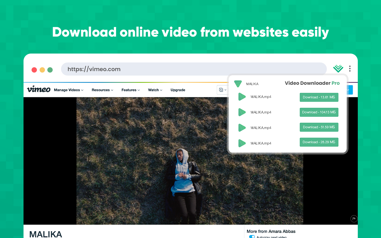 Video Downloader Pro截图3