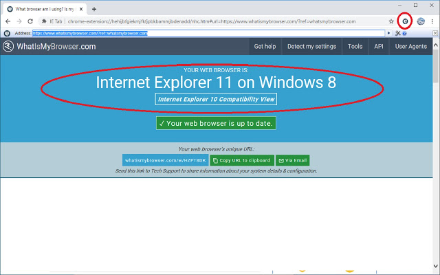 IE Tab截图1