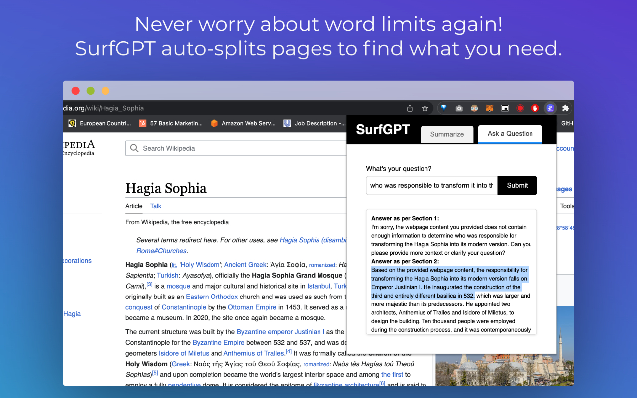 SurfGPT: Chat with any website!截图2