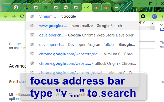 Vimium C - 全键盘操作浏览器截图1