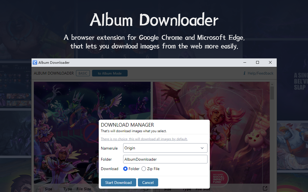 Album Downloader截图3