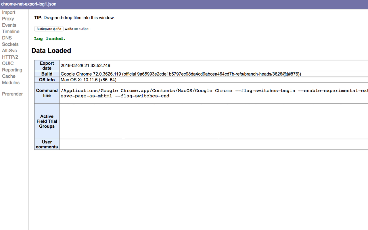 Chromium NetLog dump viewer截图2
