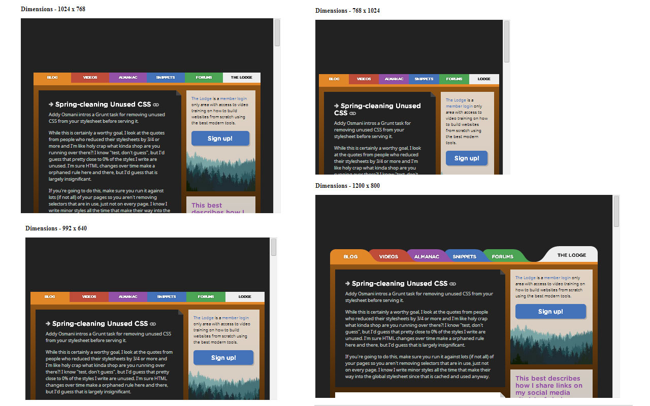 Responsive View截图2