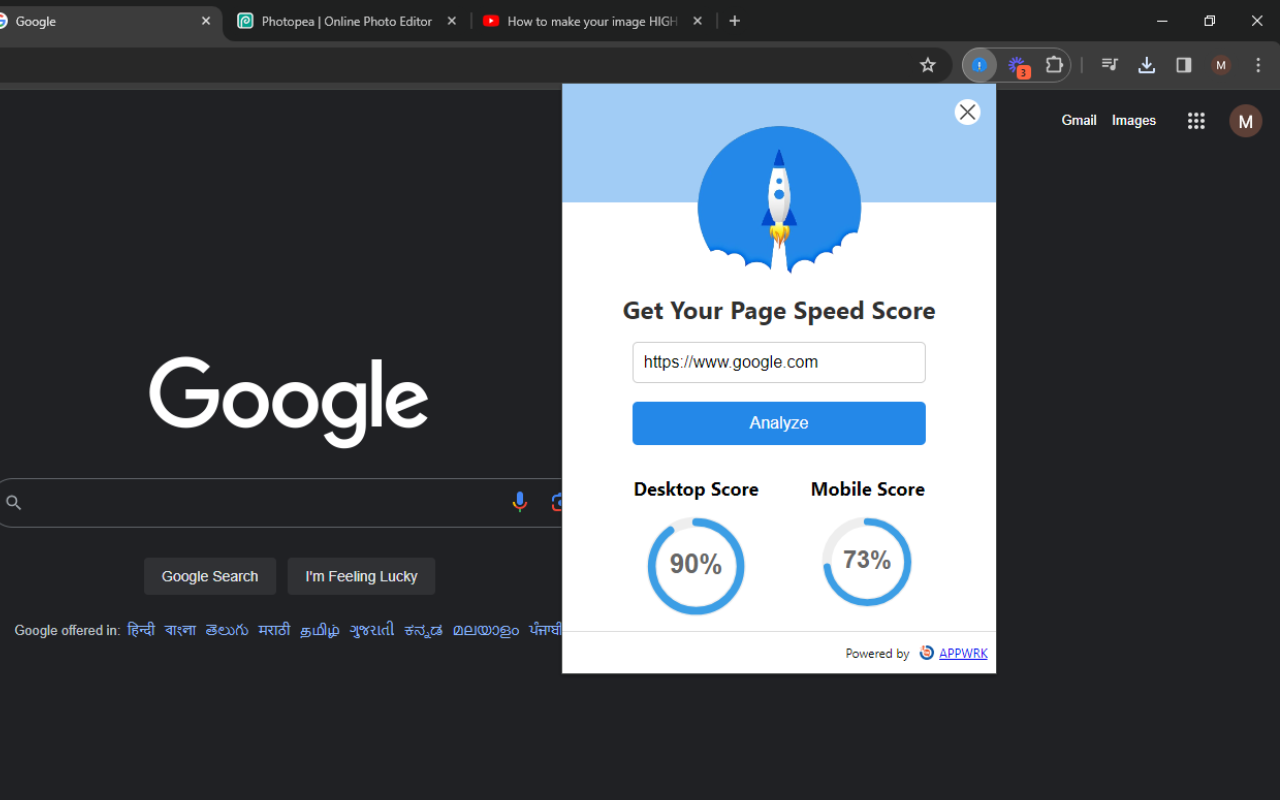 Google Pagespeed Insights截图1