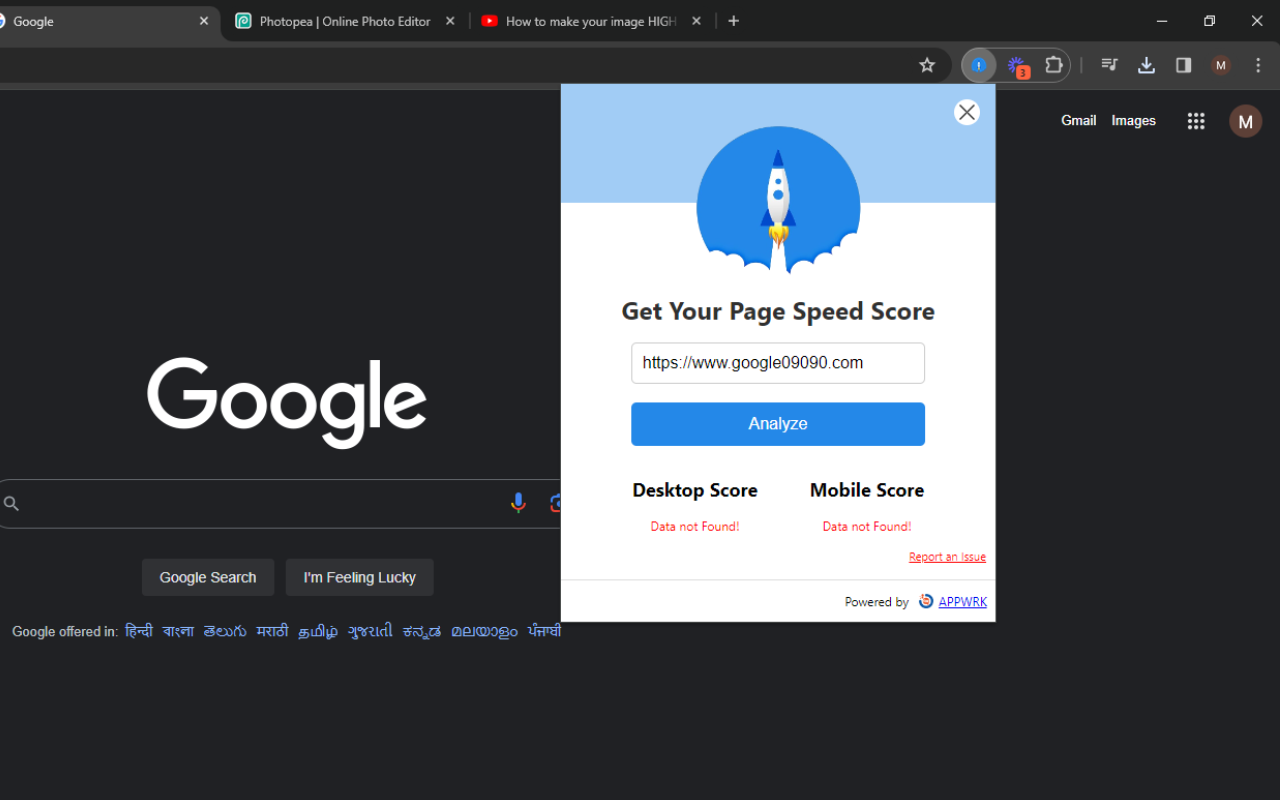 Google Pagespeed Insights截图2