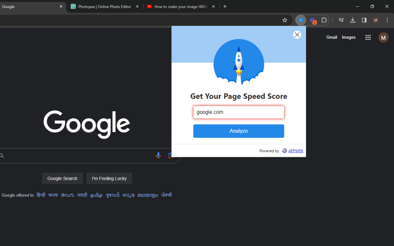 Google Pagespeed Insights截图4