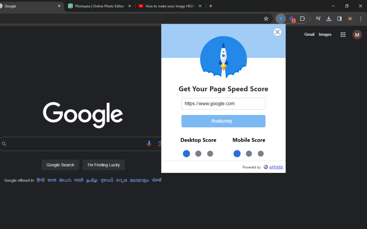 Google Pagespeed Insights截图5