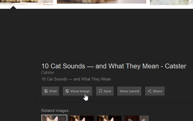 Google Search "View Image" Button截图1