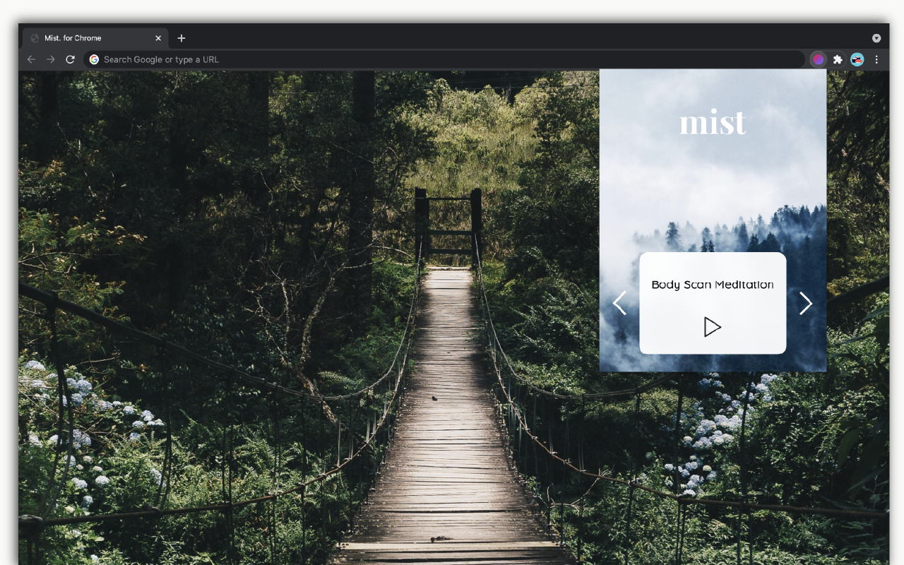 Mist: The way to be mindful for busy people.截图1