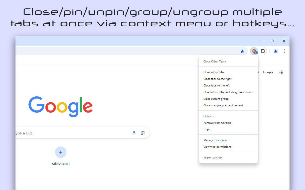 Close Other Tabs+截图3