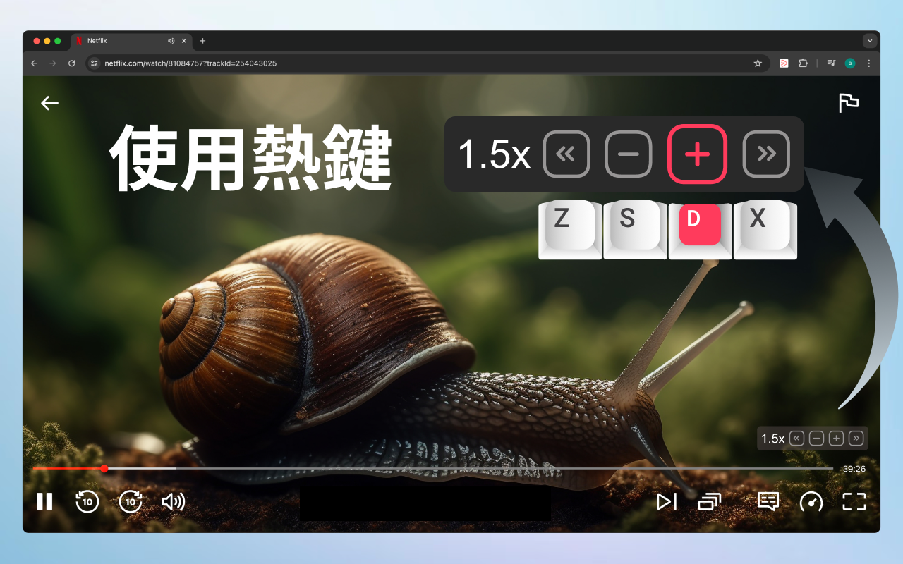 网络视频速度控制器截图4