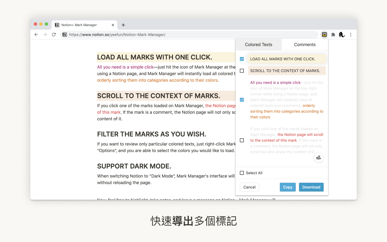 Notion+ 标记管理器截图5