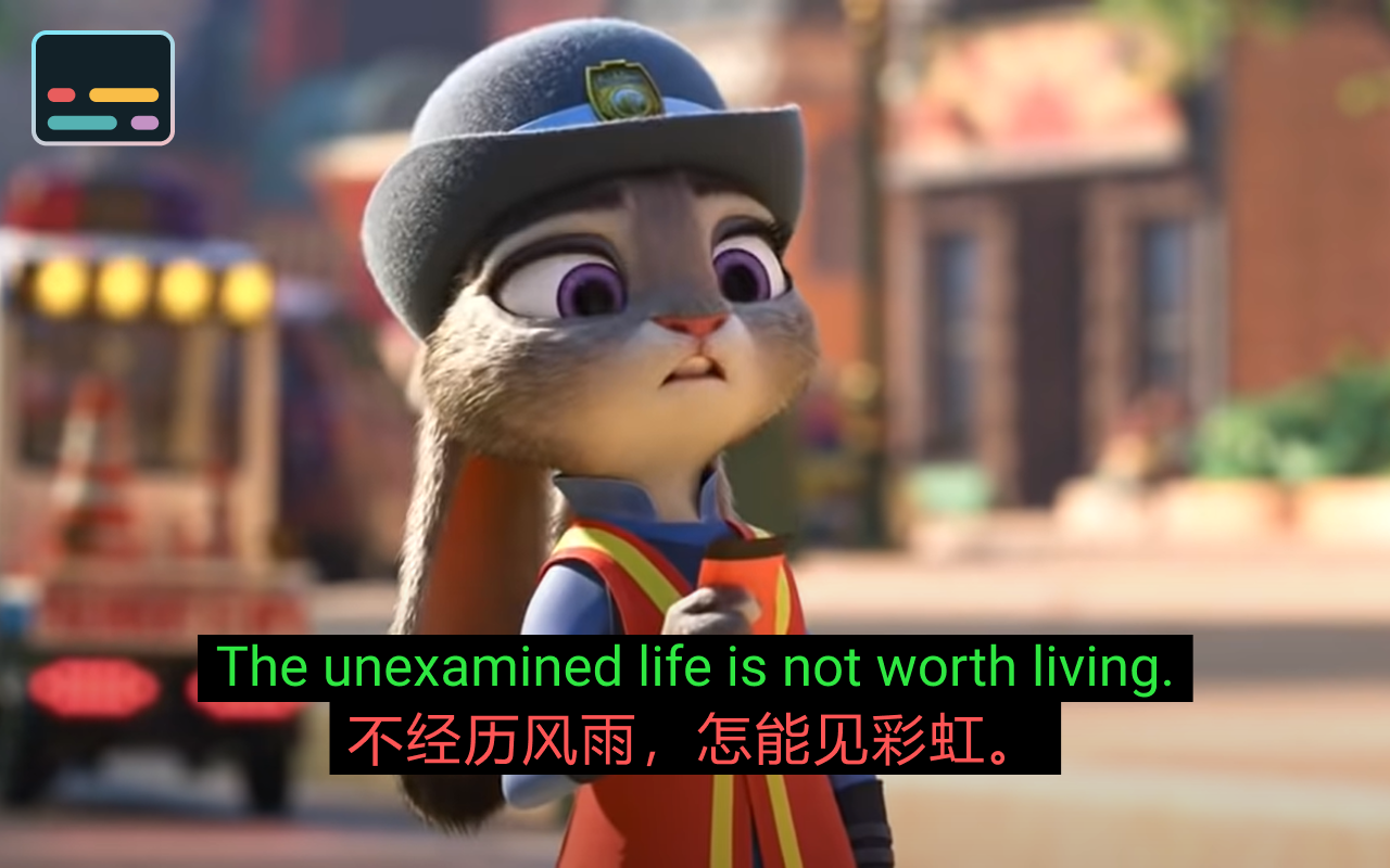 YouTube™ 双字幕截图1