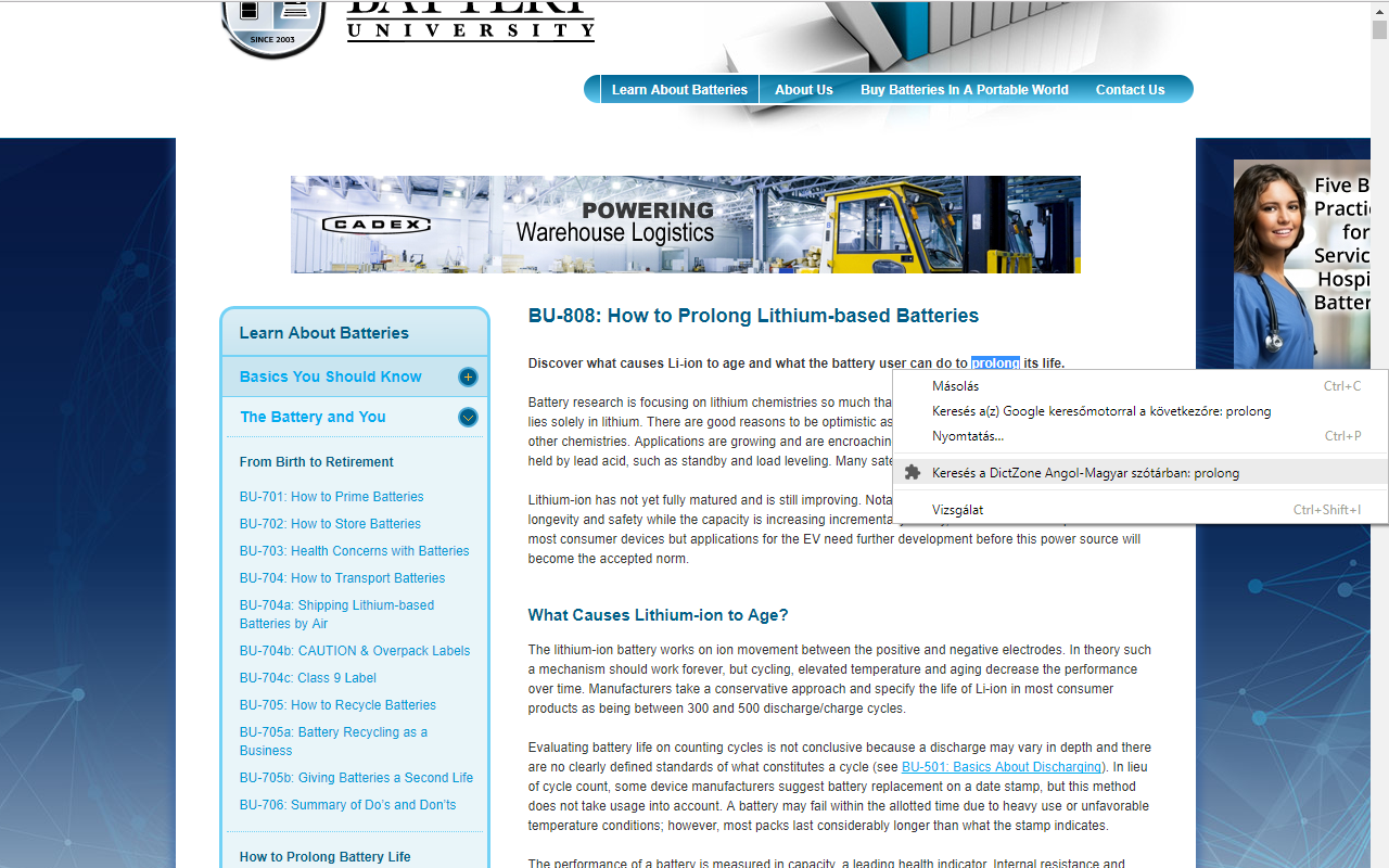 DictZone angol magyar szótár截图1