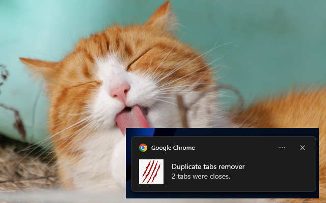 Duplicate tabs closer截图1