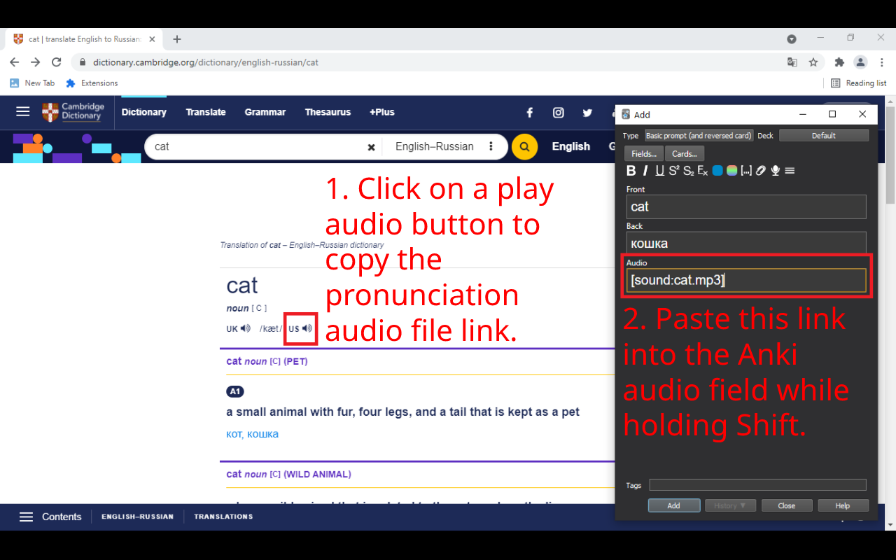 Pronunciation Audio Url Copier for Anki截图1