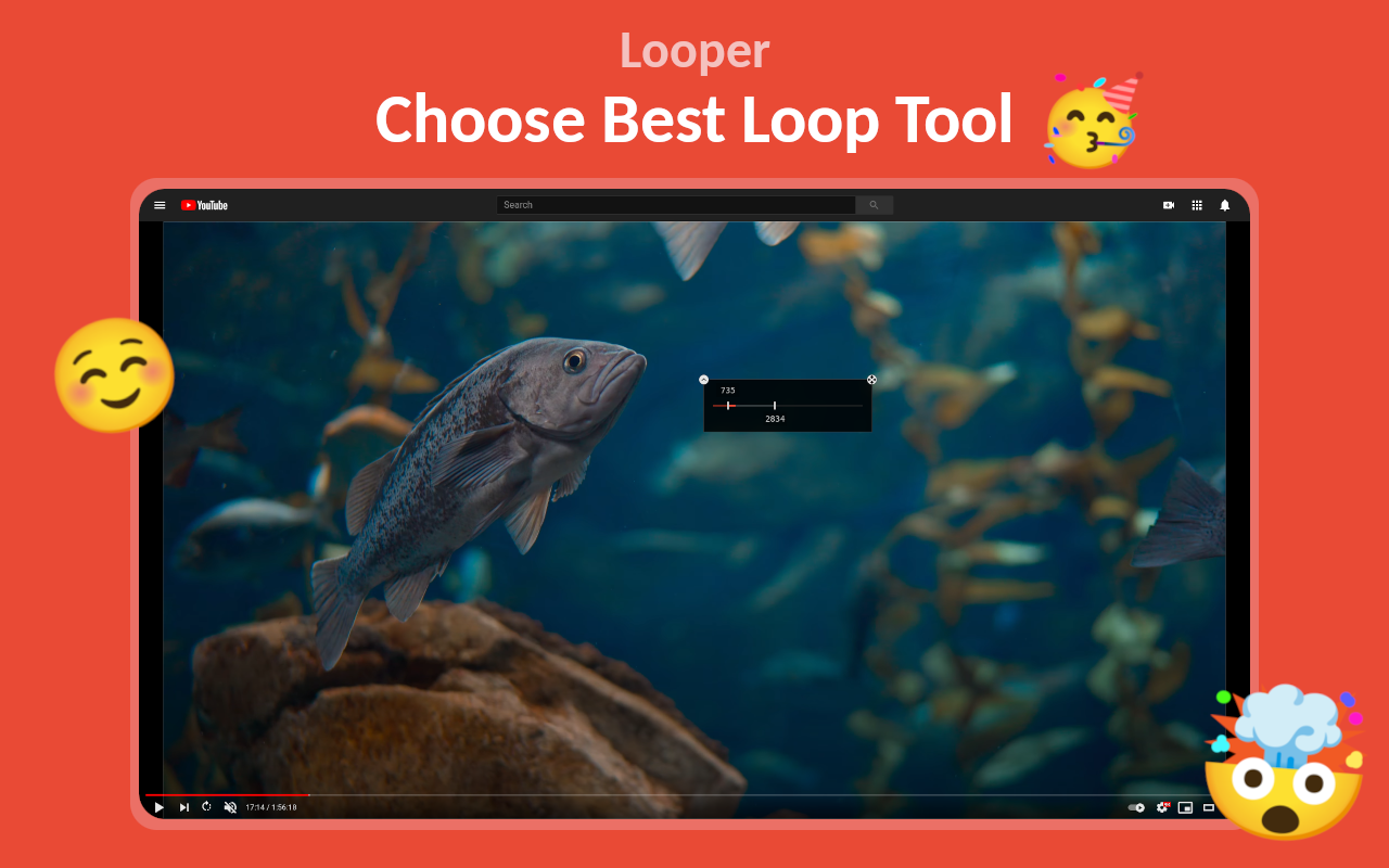 Looper截图1