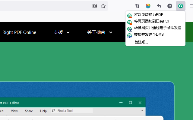 Right PDF截图1