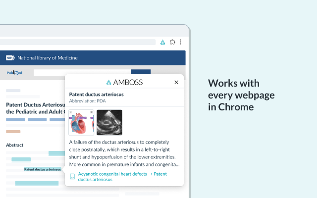 AMBOSS: Medical Knowledge Everywhere截图1
