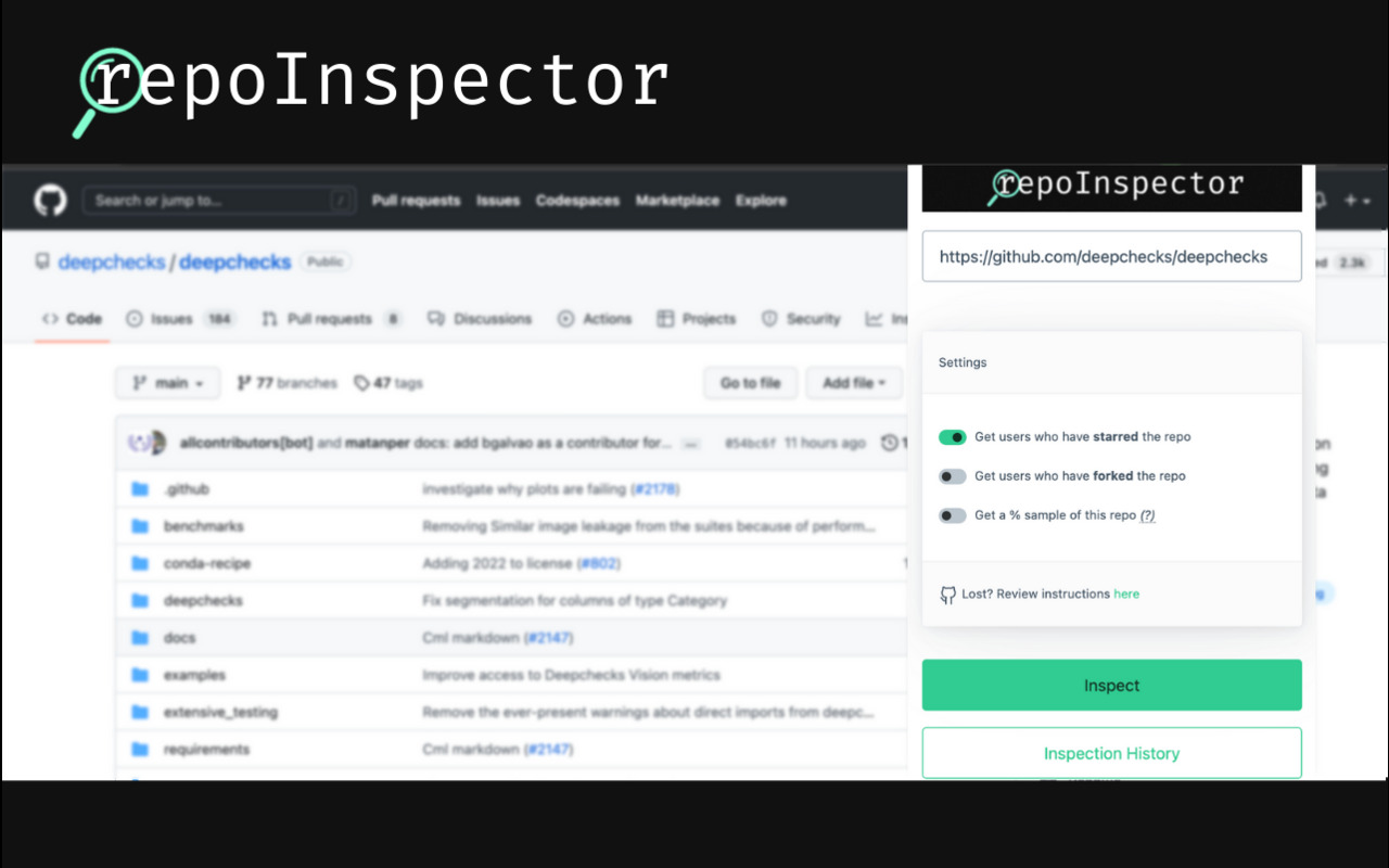 repoInspector截图1