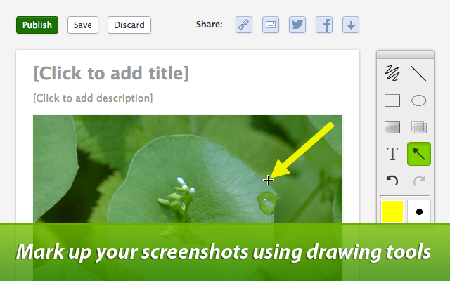Screenleap截图1