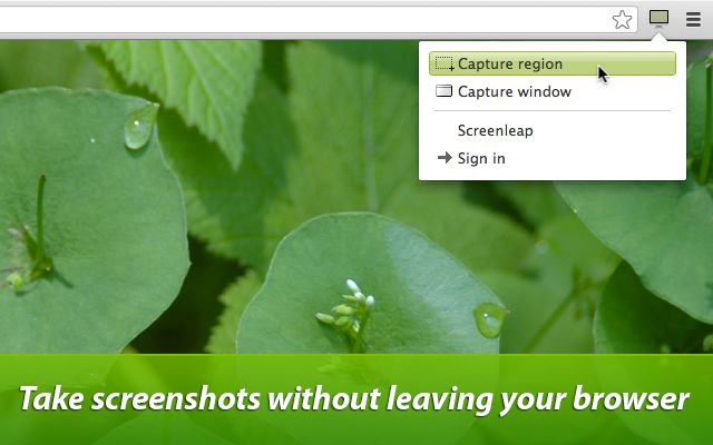 Screenleap截图5